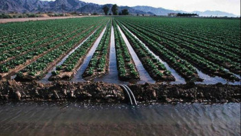 Фотография к новости: Елімізде суару желісінің 60%-ға жуығы нашар жағдайда – министр