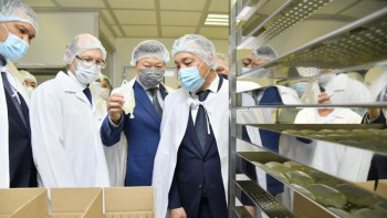 Фотография к новости: Цой: Отандық фармацевтика саласы – басты назарда