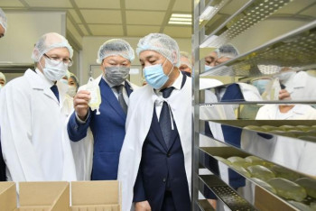 Фотография к новости: Цой: Отандық фармацевтика саласы – басты назарда