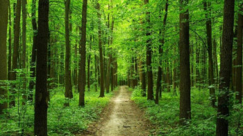 Фотография к новости: Министр: Орманшылар, қорықшылар күн демей, түн демей қиын жұмыс атқарып келеді