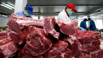 Фотография к новости: Досаев еттің неге қымбаттағанын түсіндірді