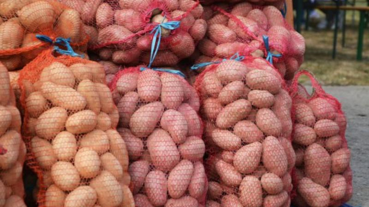Ақмола облысында ер адам 18 қап картоп ұрлап кетті 