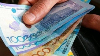 Фотография к новости: Сенатор мүгедектерге берілетін емнің қаражатын ұлғайтуды ұсынды