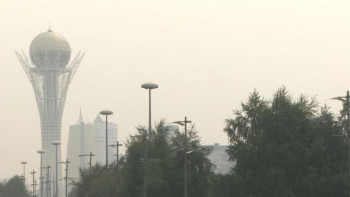 Фотография к новости: Жолдасов елордада ауаның ластануына не себеп болатынын айтты