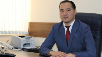 Фотография к новости: Азаматтар 2 АЕК-тен кем пара берсе де, жазаға тартылады – Асанұлы