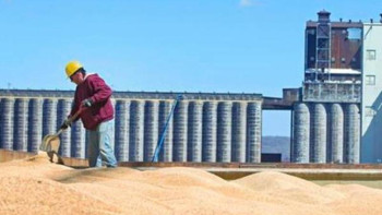 Фотография к новости: Елде астық сақтау сыйымдылығы 29,3 млн тоннаны құрайды – АШМ