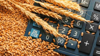 Фотография к новости: АШМ бидай бағасының қанша теңгеге белгіленгенін айтты