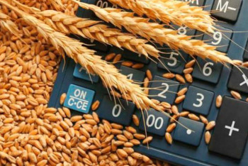 Фотография к новости: АШМ бидай бағасының қанша теңгеге белгіленгенін айтты