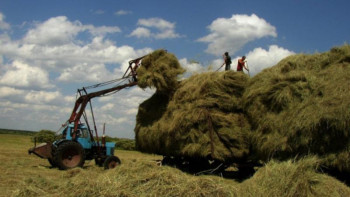 Фотография к новости: 23,2 млн тонна шөп дайындалды –  АШМ