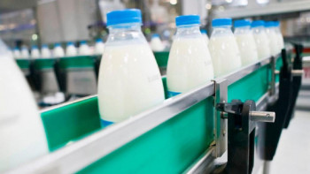 Фотография к новости: СҚО-да 52 сүт фермасы ашылады – Тасмағанбетов