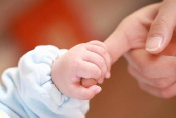 Фотография к новости: Министр жекеменшік БАҚ-та істейтін журналистерге неліктен жәрдемақы төленбегенін түсіндірді