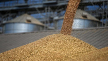 Фотография к новости: Елімізде былтырғы жылдан 3,5 млн тонна астық қалған