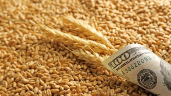 Фотография к новости: Елімізден Ауғанстанға қанша тонна ұн мен астық экспортталды?