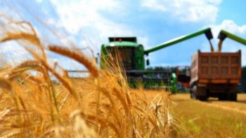 Фотография к новости: Алдағы аптада елімізде астық жинау науқаны аяқталады