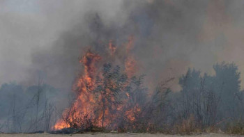 Фотография к новости: Ақсай шатқалындағы өртті тік ұшақ пен 100-ге жуық өртсөндіруші сөндіріп жатыр