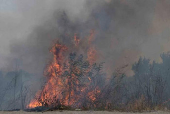 Фотография к новости: Ақсай шатқалындағы өртті тік ұшақ пен 100-ге жуық өртсөндіруші сөндіріп жатыр