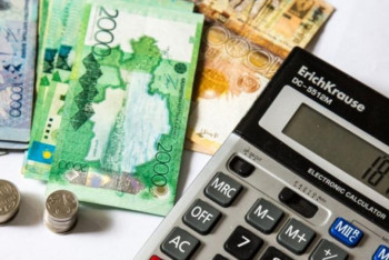 Фотография к новости: Мүгедектігі бар адамдарға күтім жасайтындарға жәрдемақы төленеді 