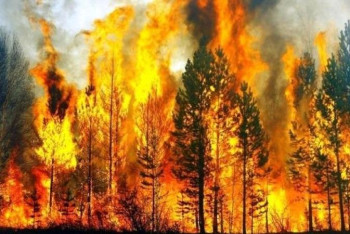 Фотография к новости: 2020 жылы табиғи апаттардан жер шарына 210 млрд доллар шығын келген