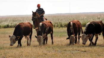 Фотография к новости: Елімізде жайылым тапшылығы 29 млн гектардан асқан  – сенатор