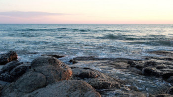 Фотография к новости: Мәжілісте Каспий теңізінің экологиялық жағдайына қатысты заң қабылданды