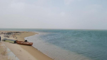 Фотография к новости: Арал теңізінің құрғаған түбіне сексеуіл отырғызылады – Тоқаев