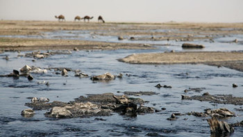 Фотография к новости: Экология министрлігі Қошқар-ата ойпатындағы мәселе қалай шешілетінін айтты