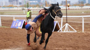 Фотография к новости: Федерация кубогы. Теңге ілуден жеңімпаз анықталды
