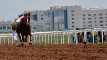 Фотография к новости: Ұлы дала рухы. Теңге ілудің шеберлері анықталды
