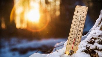 Фотография к новости: Вирустың жұғуы температураға байланысты емес – Шоранов