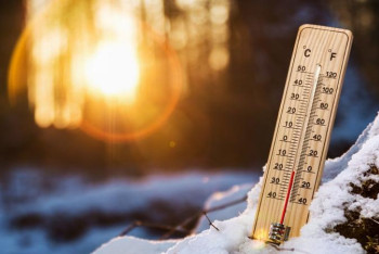 Фотография к новости: Вирустың жұғуы температураға байланысты емес – Шоранов