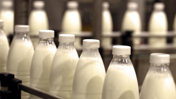 Фотография к новости: Елімізден Қытай нарығына сүт өнімдері жіберілуі мүмкін