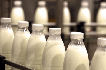 Фотография к новости: Елімізден Қытай нарығына сүт өнімдері жіберілуі мүмкін