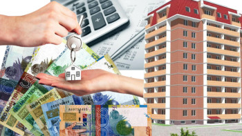 Фотография к новости: «Elorda zhastary»: Баспаналы болу үшін нені білу керек?