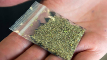 Фотография к новости: Есірткі айналымы бойынша көшбасшы өңір анықталды