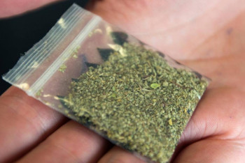 Фотография к новости: Есірткі айналымы бойынша көшбасшы өңір анықталды