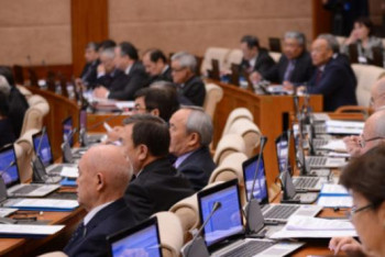 Фотография к новости: Шағын жобалар мультипликативті әсер береді – депутат