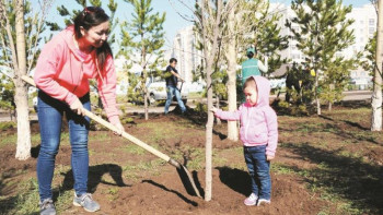 Фотография к новости: 2025 жылға қарай 2 млрд ағаш отырғызылады – Тоқаев