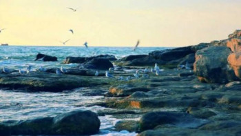 Фотография к новости: Каспий теңізі заң бойынша қалай қорғалады?