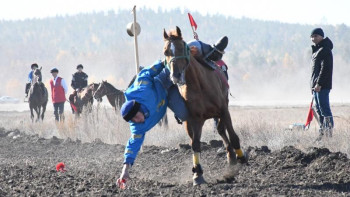Фотография к новости: #Тәуелсіздік30. Ат спорты фестивалі. Теңге ілу