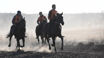 Фотография к новости: #Тәуелсіздік30. Ат спорты фестивалі. Бәйге