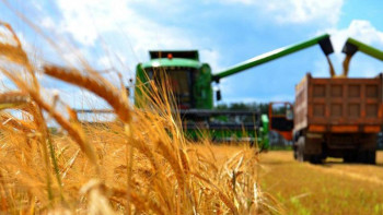 Фотография к новости: Ұлттық жоба шеңберінде ауыл шаруашылық өнімдерінің экспорты 2 есеге ұлғаяды