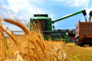 Фотография к новости: Ұлттық жоба шеңберінде ауыл шаруашылық өнімдерінің экспорты 2 есеге ұлғаяды