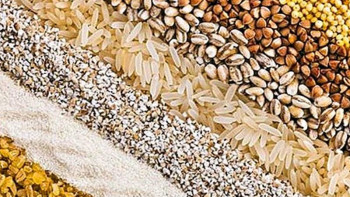 Фотография к новости: Елімізде дәнді дақылдардың өнімділігі 10-15%-ға артады