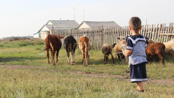 Фотография к новости: Ерғалиев ауыл тұрғындарының өмір сүру деңгейін арттыратын жоба туралы айтты