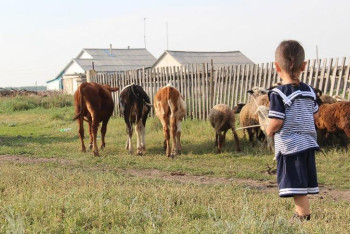 Фотография к новости: Ерғалиев ауыл тұрғындарының өмір сүру деңгейін арттыратын жоба туралы айтты