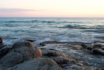 Фотография к новости: Депутаттар Каспий теңізінің экологиясына қатысты заңды қабылдады