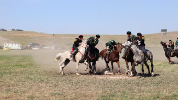 Фотография к новости: Жануарларға қамқорлық. Заң жобасына түзетулер енгізілді