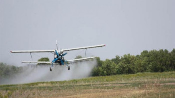 Фотография к новости: Биыл шегірткеге қарсы күреске бюджеттен 2,4 млрд теңге бөлінді