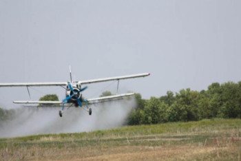 Фотография к новости: Биыл шегірткеге қарсы күреске бюджеттен 2,4 млрд теңге бөлінді