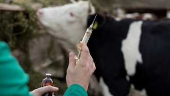 Фотография к новости: АШМ: Жануарларды аса қауіпті ауруларға қарсы вакцинациялау жоспары 10 ай ішінде орындалды